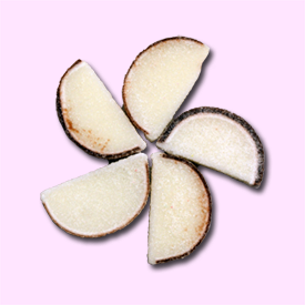 coconutfruitslices