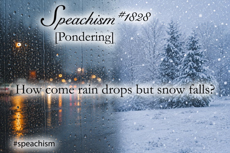 1828speachism