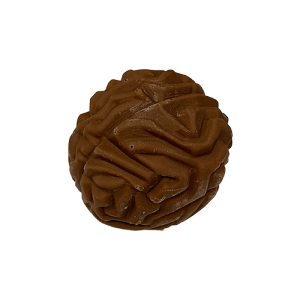 Chocolate Brains