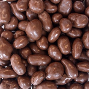 chocolatecoveredraisins