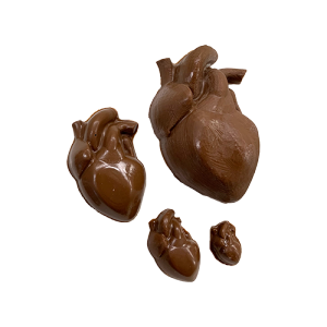 Human Hearts 4 Sizes