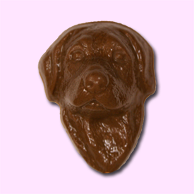 Options: Dog Lollipop