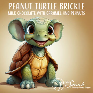 Circus Elephant Peanut Turtle