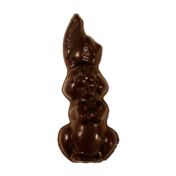 chocolate bunny on white background