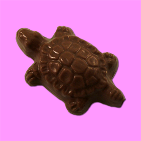 turtlelolli
